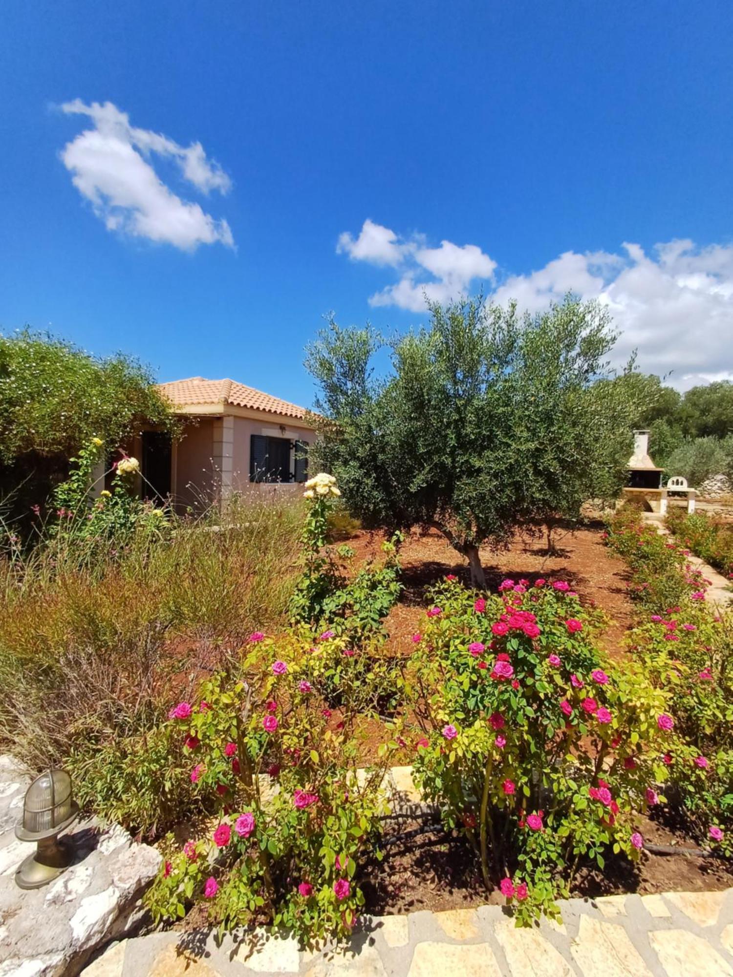 Korallis Villas Karavados Luaran gambar