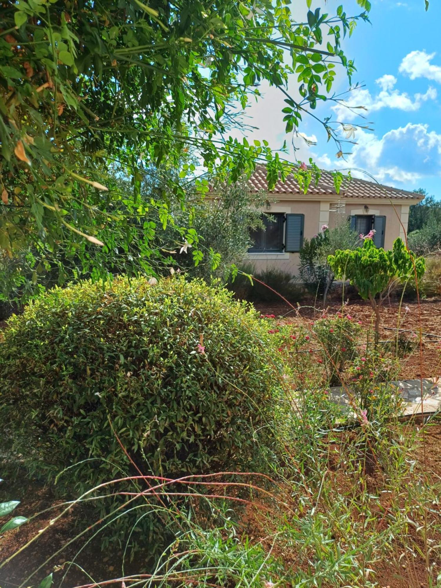 Korallis Villas Karavados Bilik gambar